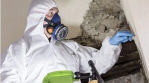 asbestos removal